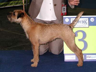 Eurodogshow 2008
